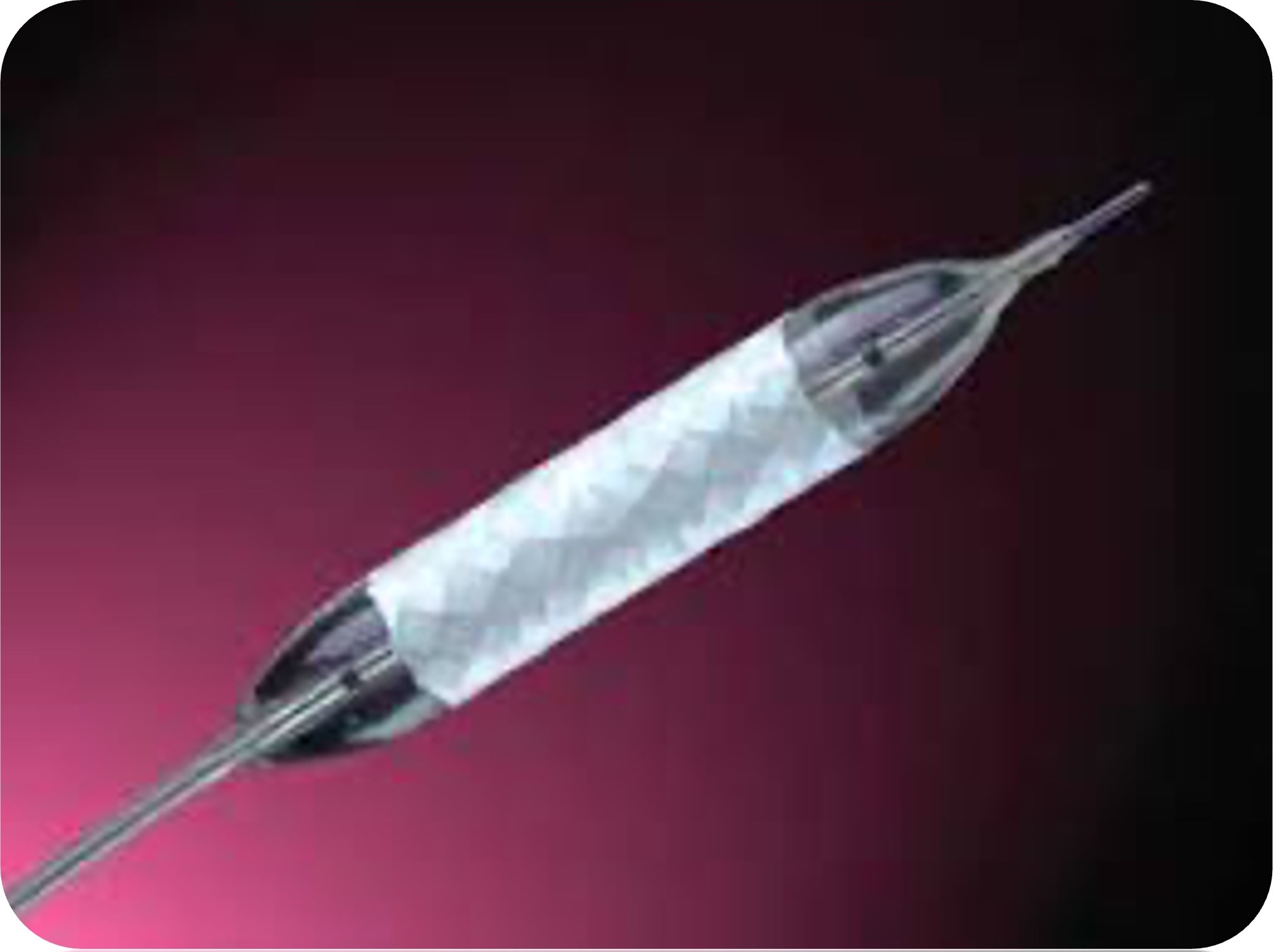 Advanta V12 Balloon Expandable Covered Stent